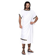 Underwraps Costumes Men's Classic Toga with Shoulder Drape Costume