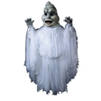 Ghost As Pictured Costume