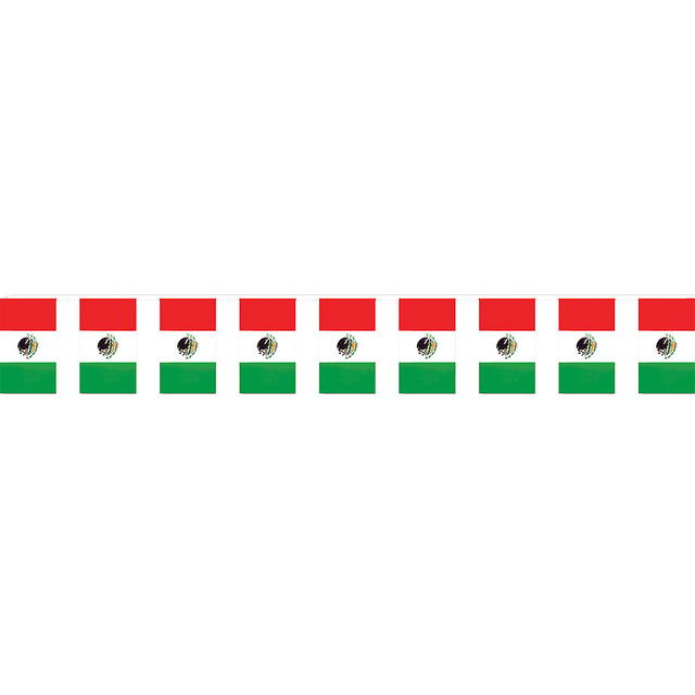 Mexican Flag Banner