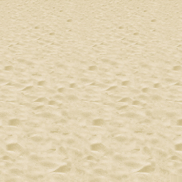 BEACH BACKDROP