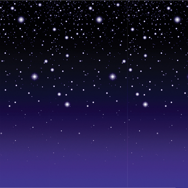 STARRY NIGHT BACKDROP 4X30 FT