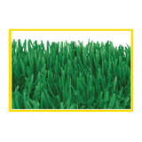 Grass Mats