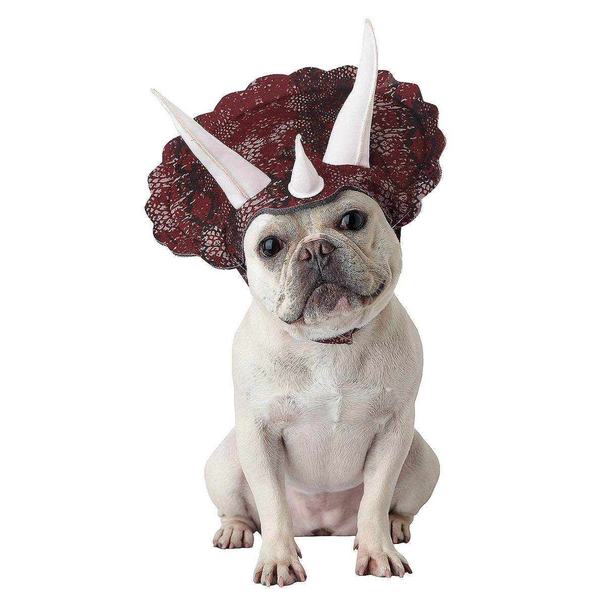 Adorable Triceratops Pet Costume for Halloween Fun and Pet Parties