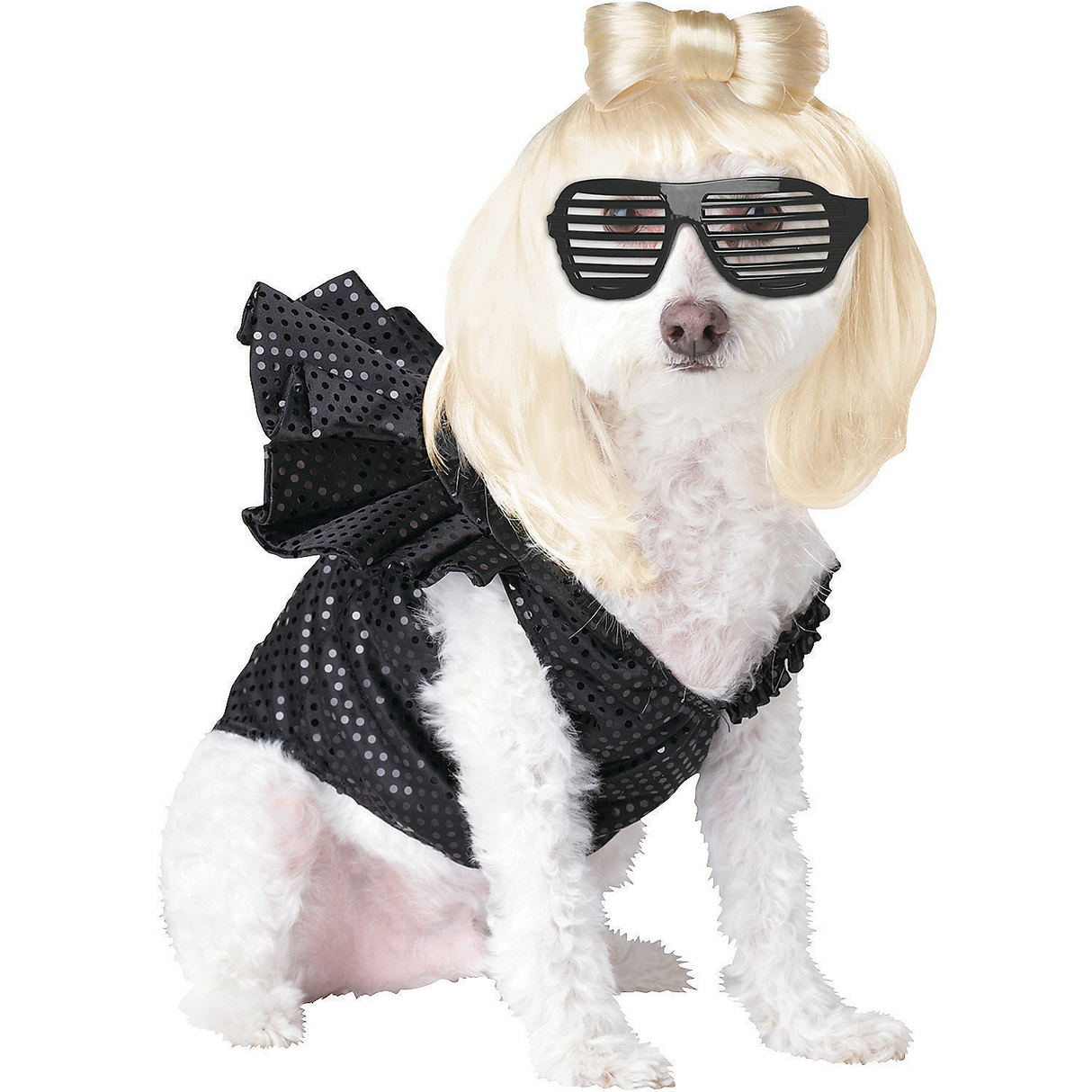 Pop Sensation Pet Costume