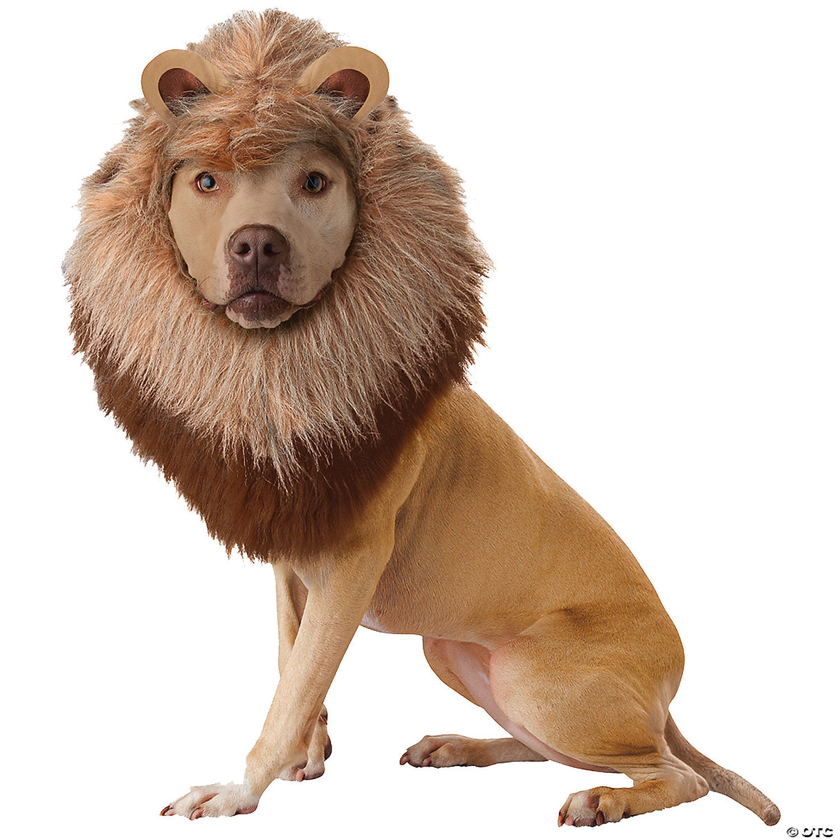 Adorable Animal Planet Pet Lion Costume for Dogs Ideal for Halloween Parties and Dress-Up Events