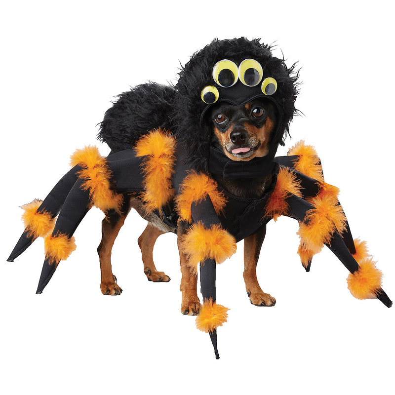 RADYAN Pet Spider Costume featuring Spider-themed furry costume design and Fur headpiece with googly eyes