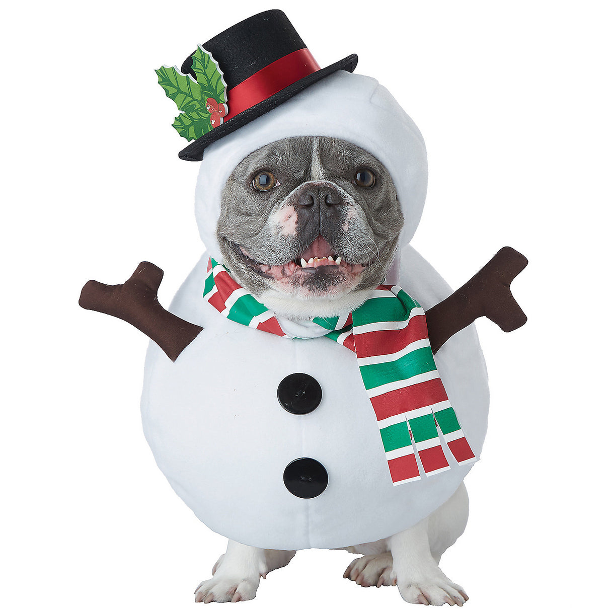 Adorable Snowman Dog Costume for Holiday Celebrations and Winter Festivities