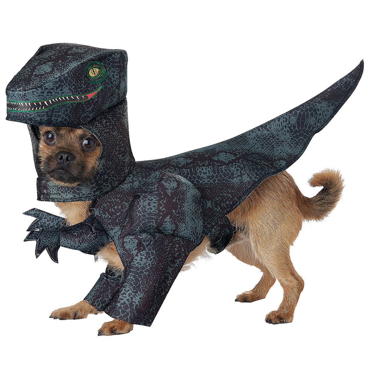 Pupasaurus Rex Dog Costume for Halloween Parties Pet Events and Fun Themed Celebrations