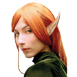 ELF EARS - FOAM PROSTHETICS