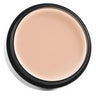 High Tech Color Saturated Makeup Cream for Everyday Use and Special Occasions