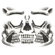 Skull Face Tattoo