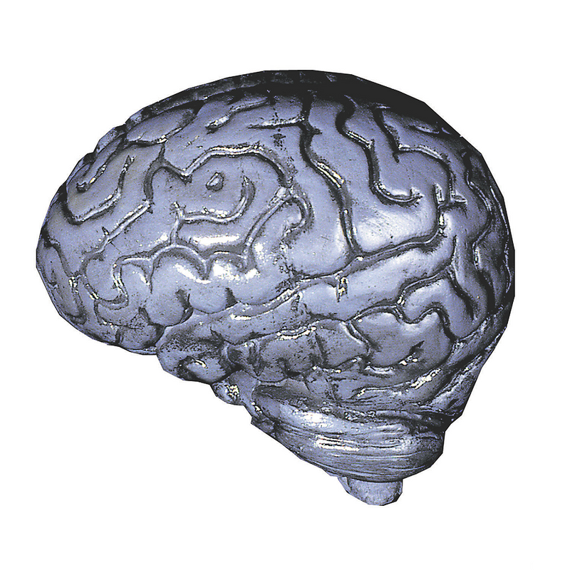 Spooky Halloween Brain Decor for Haunted House Parties and Zombie Costume Add-ons