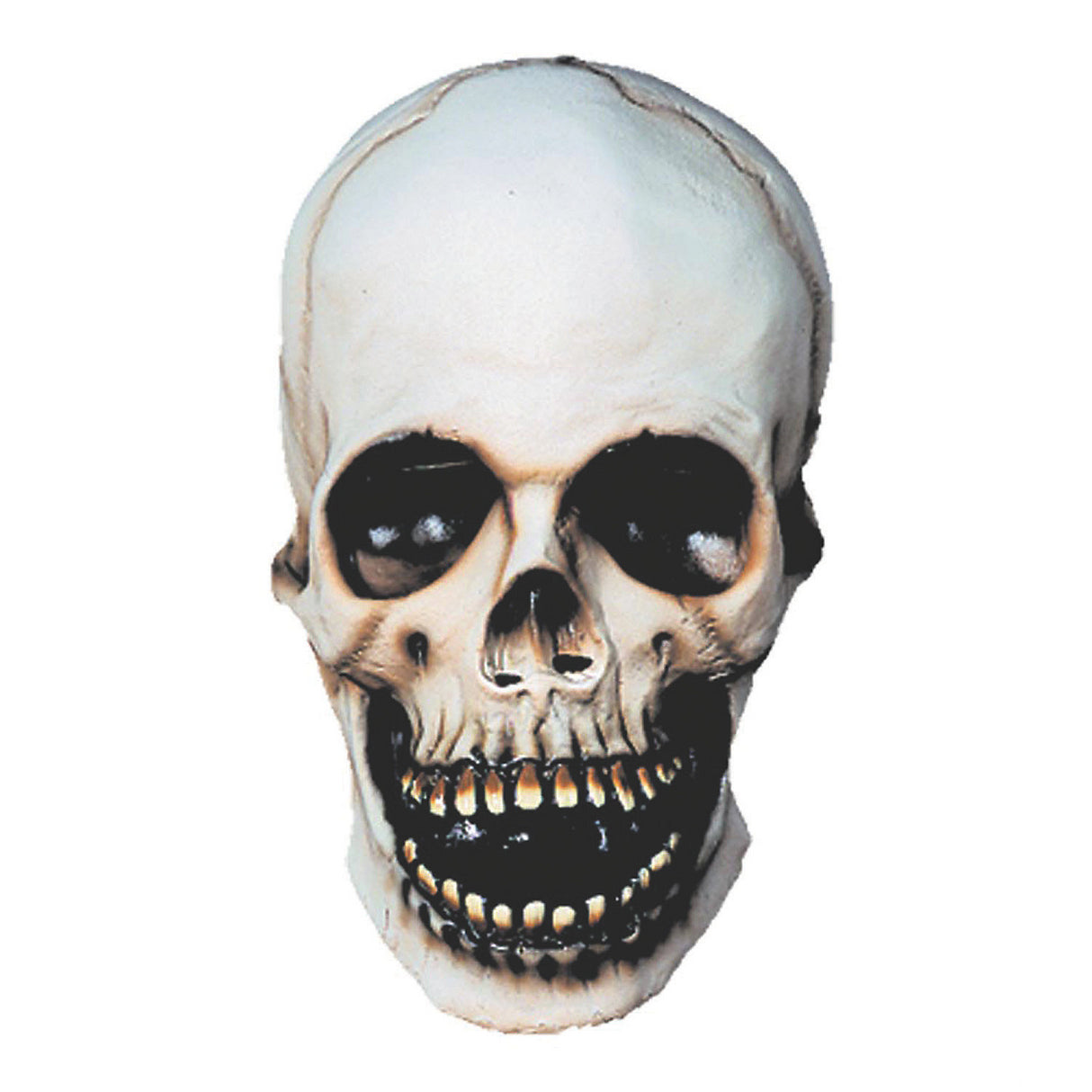 Spooky Skull Mask for Halloween Parties Costume Scares and Haunted House Events