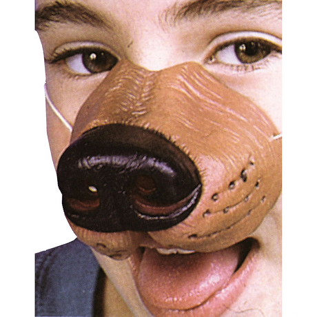 Dog Nose