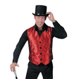 Adult Shiny Red Vest