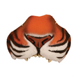 Jungle Tiger Nose