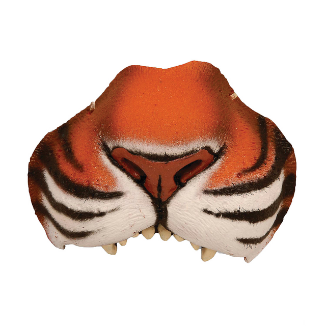 Jungle Tiger Nose