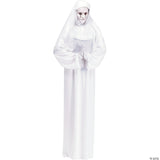 Scary Mary Adult Costume