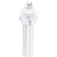 Scary Mary Adult Costume