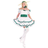 Women's Southern Belle Costume
