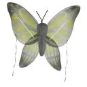 Wings Child Buttrfly Yellow Green