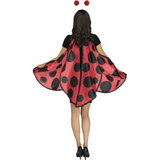 Lady Bug Wings & Headband Set