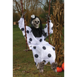 SKELETON CLOWN ON SWING