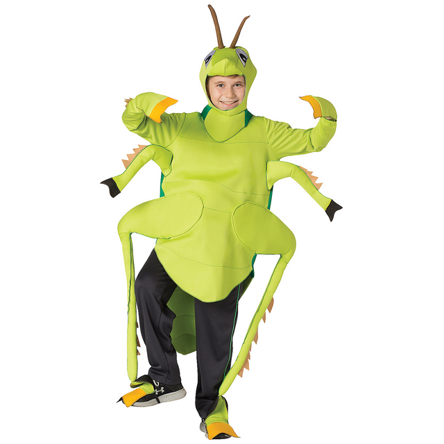 Grasshopper Child Costume