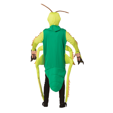 Grasshopper Adult Costume