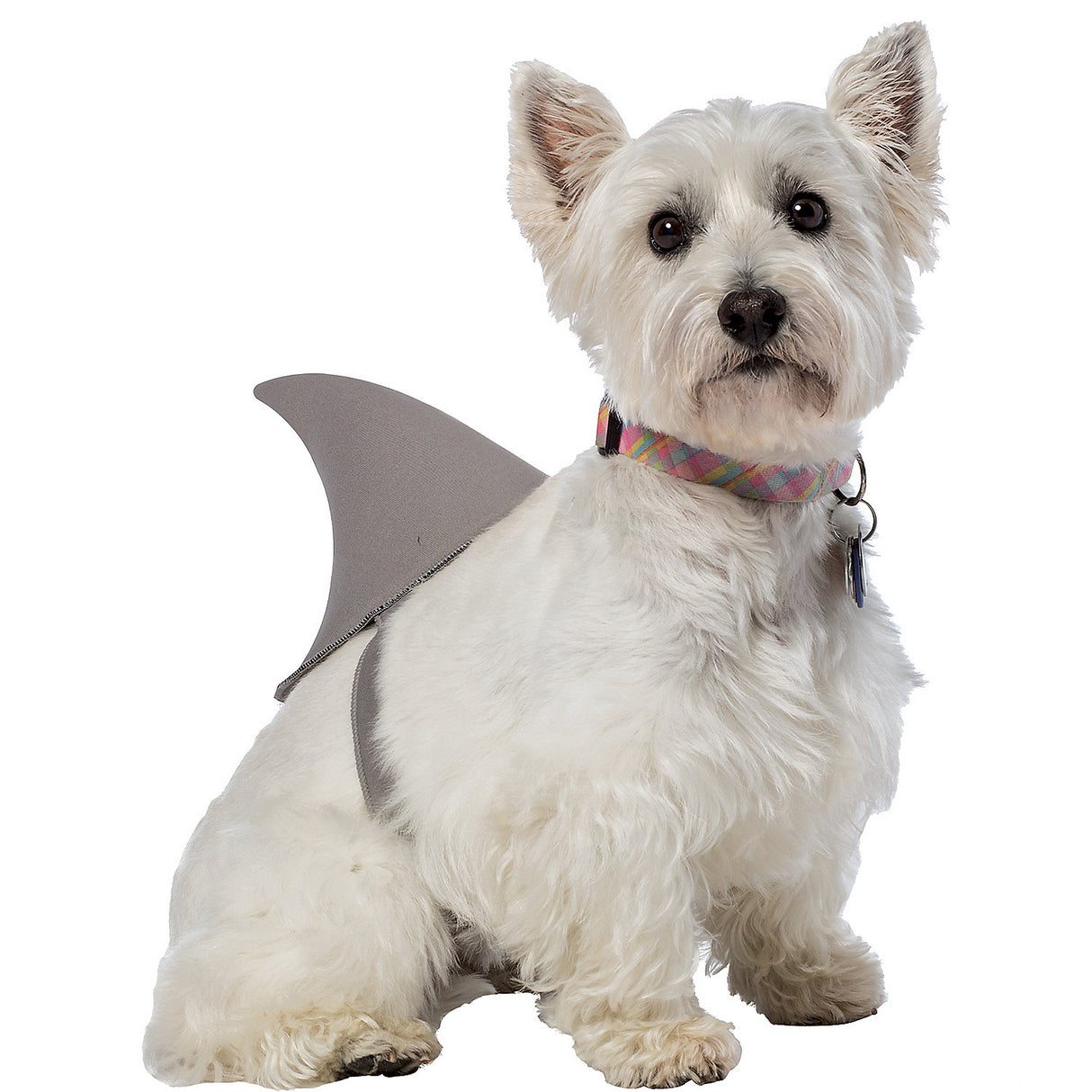 Adorable Shark Fin Dog Costume for Fun Pet Dress Up Halloween Celebrations