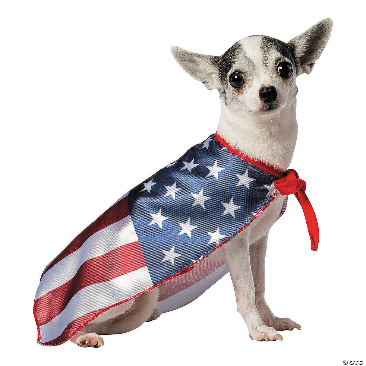 USA DOG FLAG COSTUME
