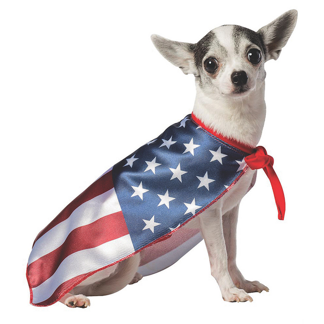 USA DOG FLAG COSTUME