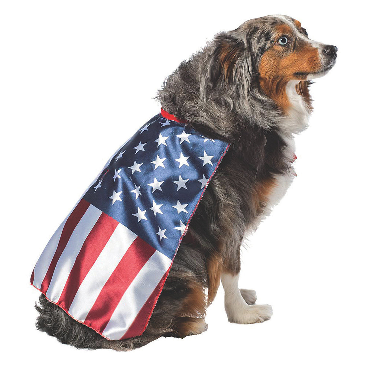 Patriotic Usa Dog Flag Cape for 4th of July Holiday Parades and Festive Celebrations
