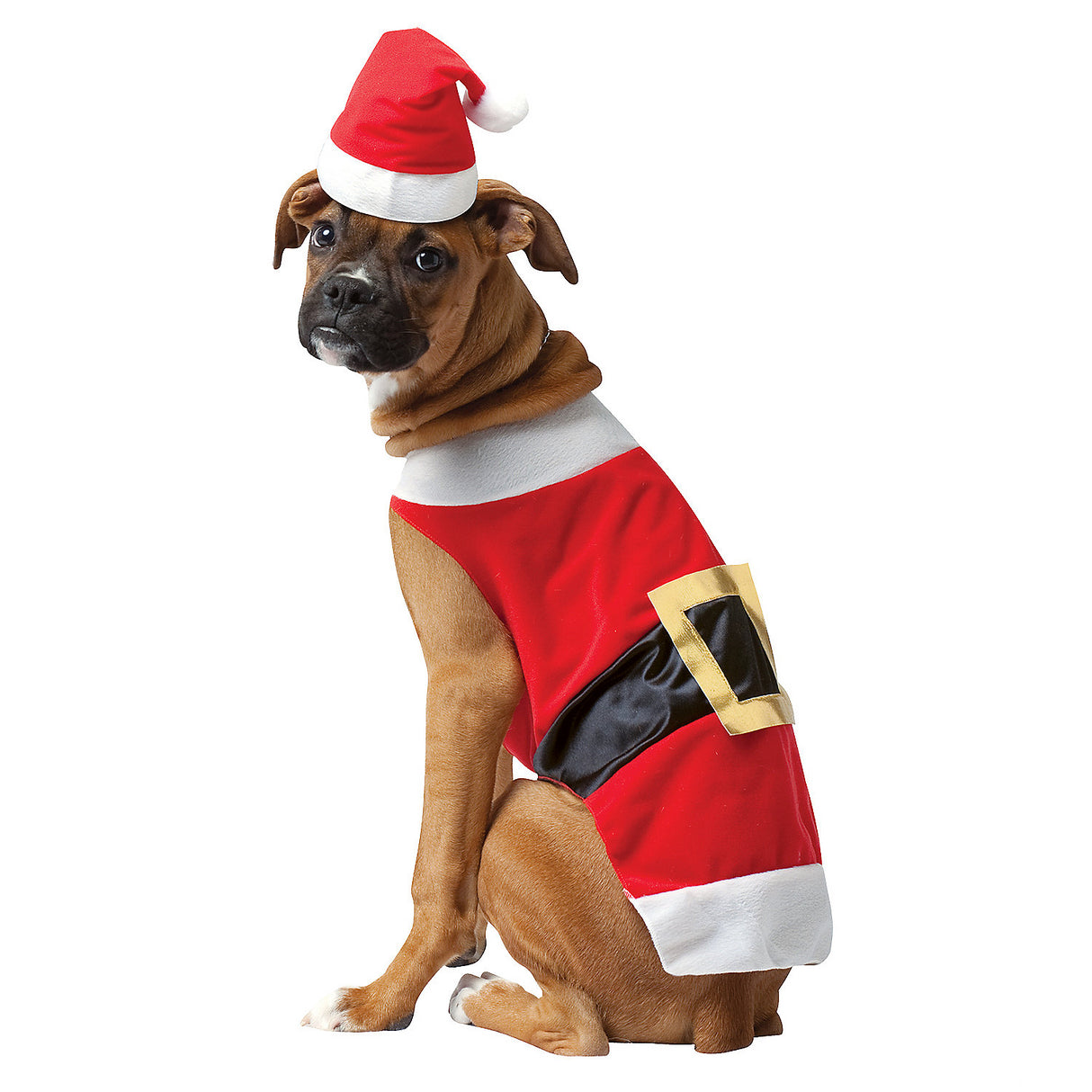 Santa Dog Costume for Festive Holiday Celebrations and Christmas Themed Events