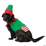 Pet Costume Elf