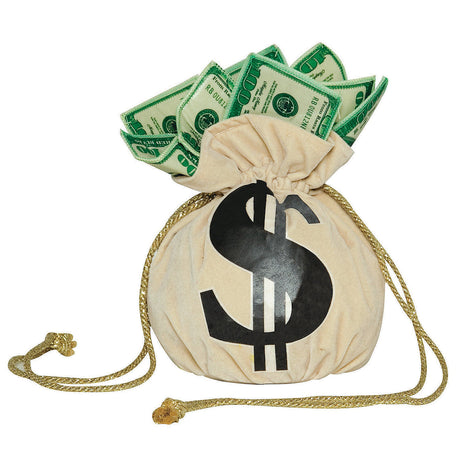 Money Bag Purse