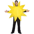 Sunny Day Adult Costume