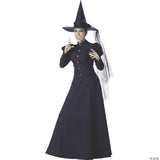 Women’s Wicked Witch Halloween Costume Dress Set with Hat