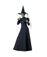 Women’s Wicked Witch Halloween Costume Dress Set with Hat