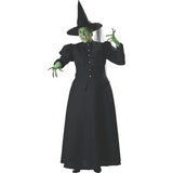 Wicked Witch Plus Size Costume for Halloween Parties Themed Events and Group Dress Ups
