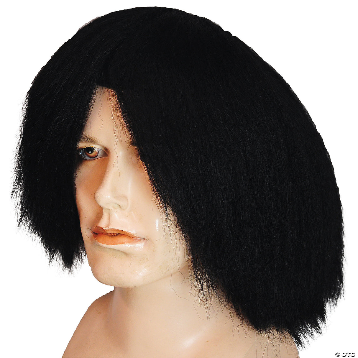 Silly Boy Deluxe Clown Wig for Theatrical Performances and Halloween Parties