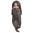 WIZARD WIG BEARD SET LT GY