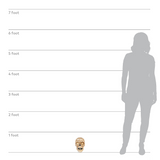 Door Bell Skull Light-Up