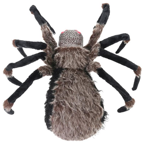Spider Deluxe Light-Up 36 In