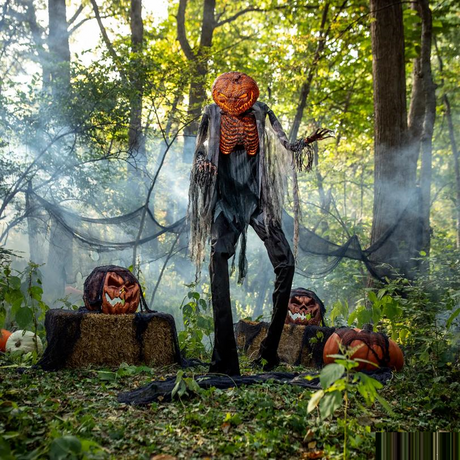 Scorched ScarecroWith With Fog