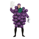 RADYAN Unisex Purple Grapes Costume - Fun Humorous Outfit for Halloween product image showing the product clearly