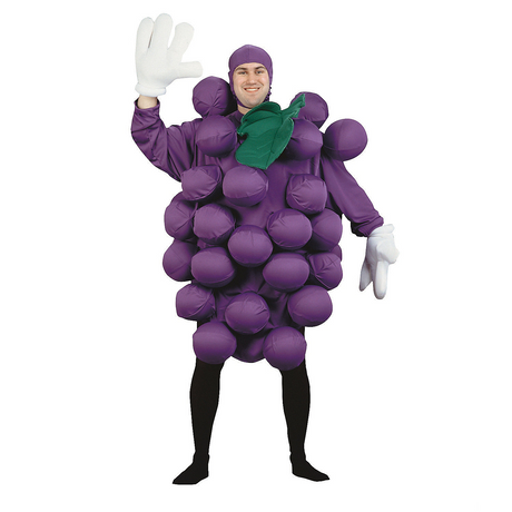RADYAN Unisex Purple Grapes Costume - Fun Humorous Outfit for Halloween product image showing the product clearly
