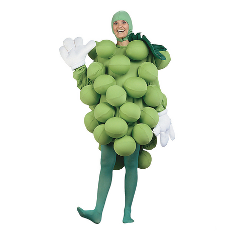 Unisex Grapes Costume