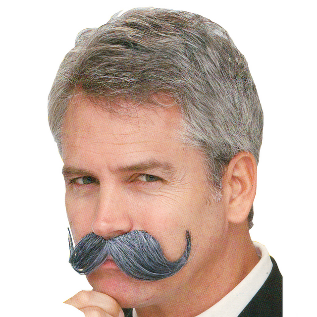 Grey Handle Bar Mustache