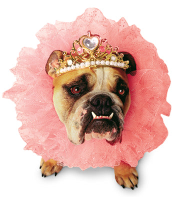 Deluxe Zelda Queen Pet Costume for Small Pets Fun and Playful Dress Up Occasions